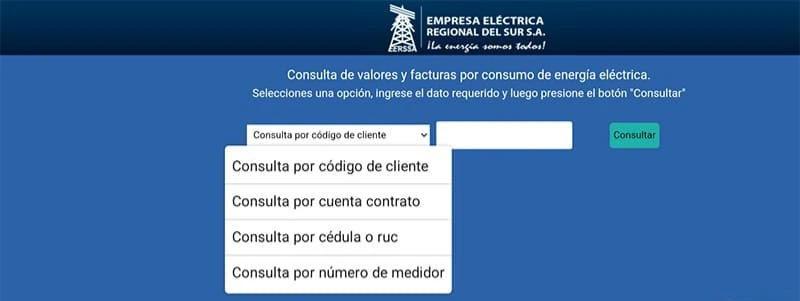 Consulta de Planilla de luz EERSSA